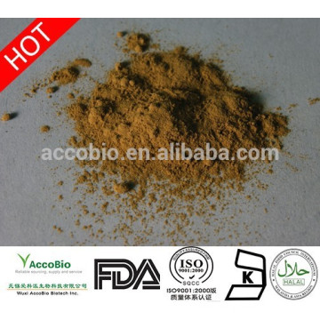 Natural Rhodiola Rosea root Extract powder 3% total Rosavins and 1% Salidroside in China